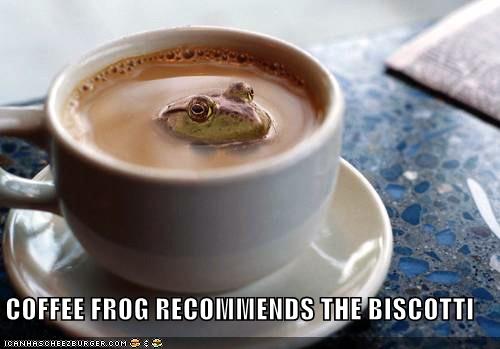 coffee frog biscotti