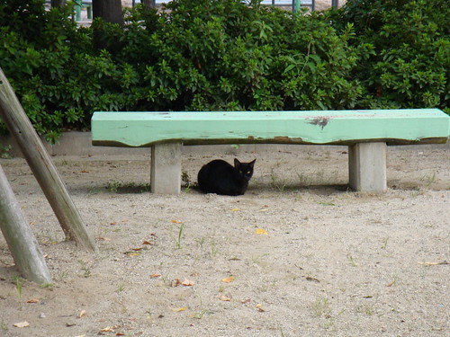 ベンチの下の猫