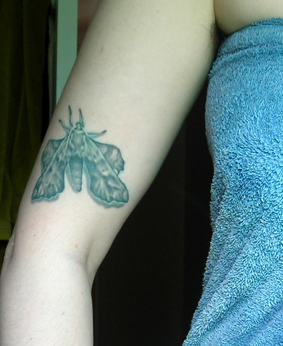 I posted a photo of my moth tattoo on Flickr the other day, but didn't post 