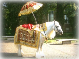 White Indian Wedding Horses hire Birmingham