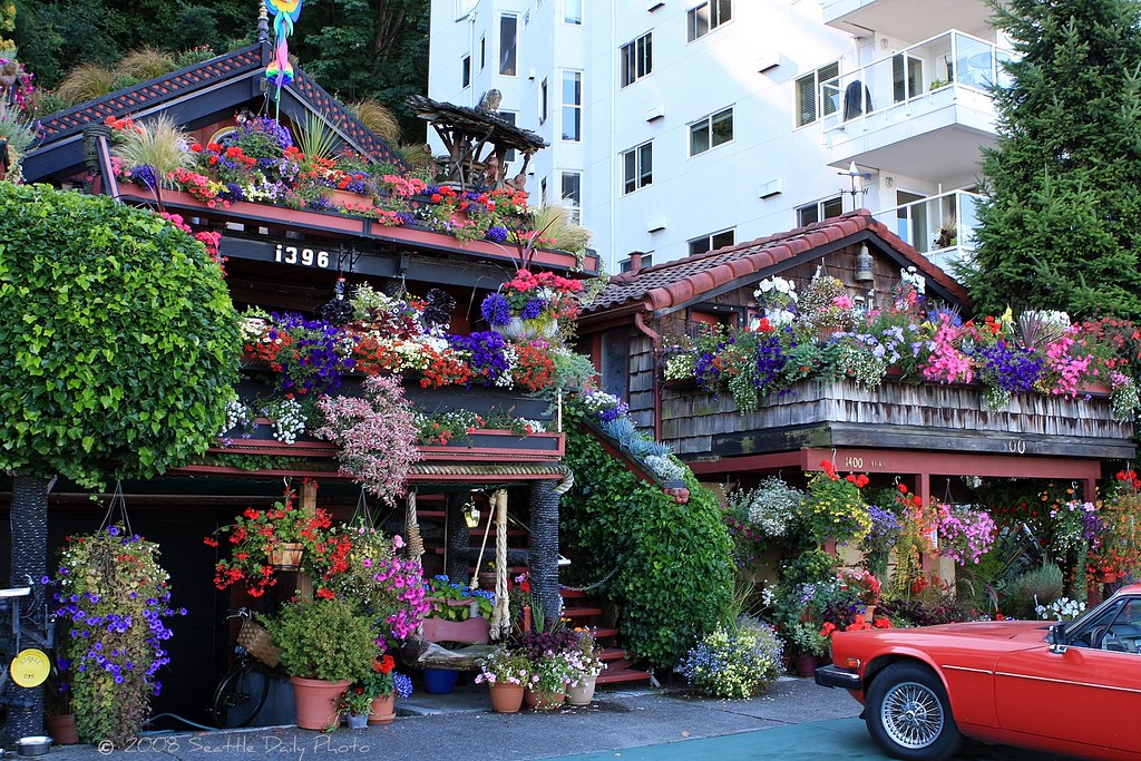 Alki Beach Houses