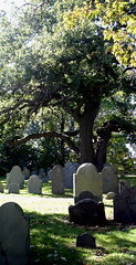 A Salem Graveyard