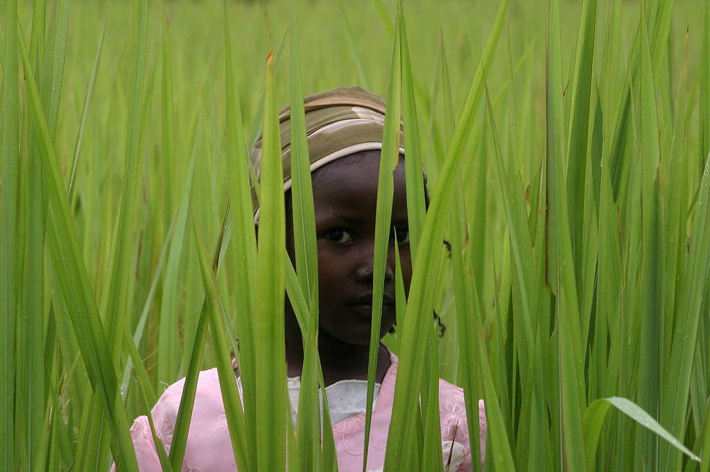 long grass, african child