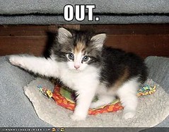 funny-pictures-kitten-kicks-you-out