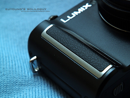 LX3_body10 (by euyoung)