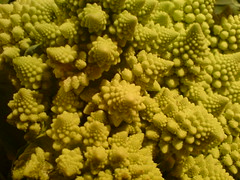 fractal-vegetable