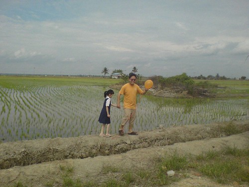 Leading Erica past the paddy field