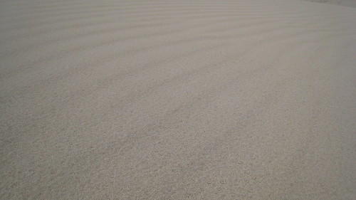 Sand Ripples 