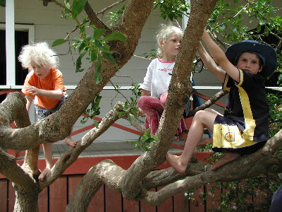 Kids in Tree