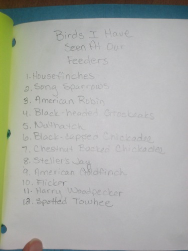 Bryant's Bird Feeder List