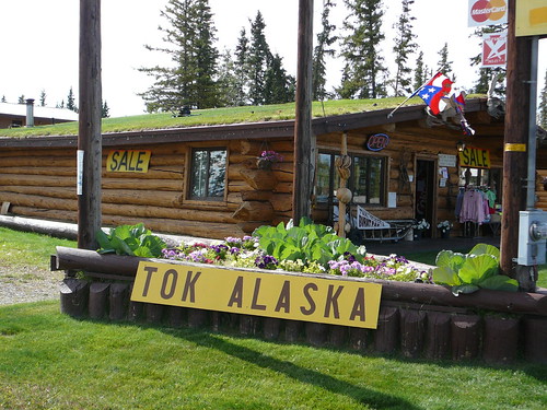 Llegamos a Tok ! ultimo pueblo en Alaska