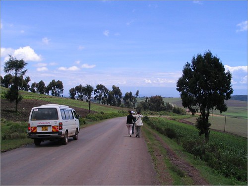 你拍攝的 7. Between Masai Mara and Lake Nakuru。