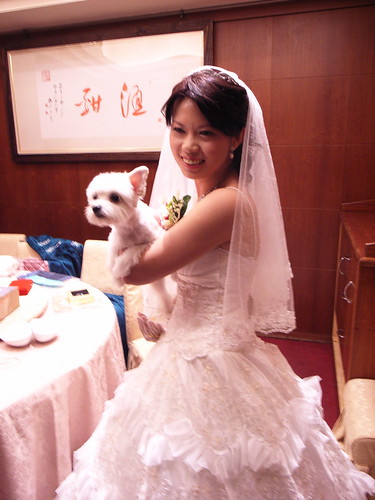 新娘跟她的愛犬：橘子(牠是母的喔)