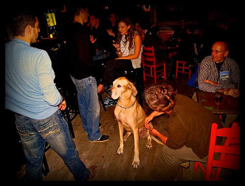 Dog in e. village bar