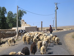 Moroccan traffic jam