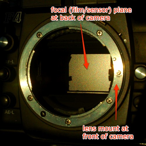 02b - Nikon F4 focal plane