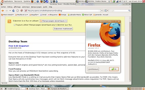 Aperçu de flux RSS dans Firefox 3.0