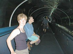 Sydney Aquarium Tunnel