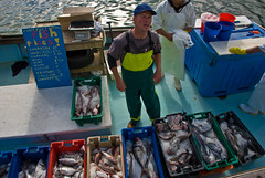 Fresh hope for world's fisheries