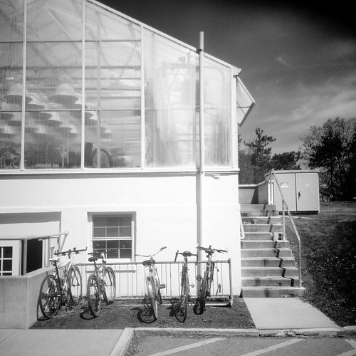 Greenhouse Bikes
