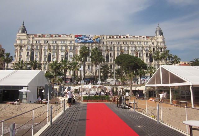 Puss n Boots Press Junket, 64th Annual Cannes Film Festival