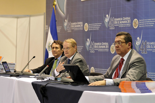 OAS presents study on citizen security in the Americas