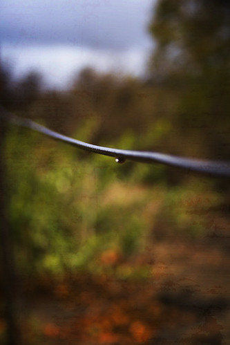 raindrop on wire
