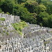 Kyoto Graveyard 3 / MonkeyManWeb.com