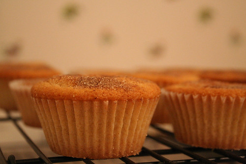 Snickerdoodle cupcakes