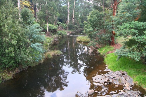 Reflections in the Yarra