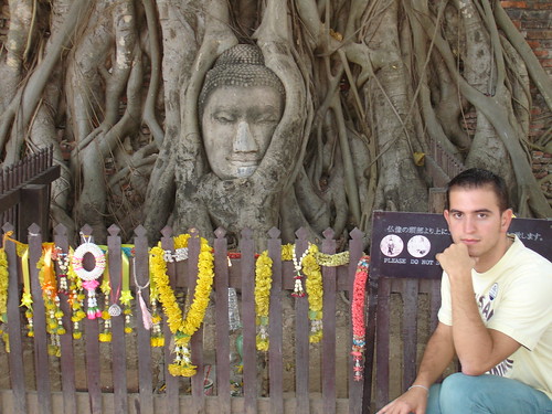 Buddha head in Ayutthaya