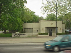 City Veterinary Hospital, Tulsa