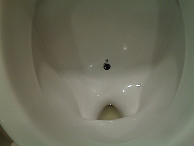 Toilet target