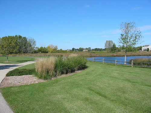 Jones Meadow Park Lake