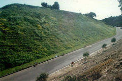 Erosion Control at Steamplant Road - Naval Subbase, San Diego, California