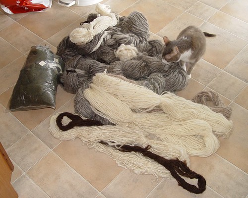 pile of yarn with Zuzu