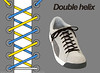 16 - Double Helix - hiduptreda.com