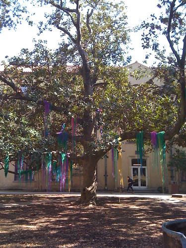 Beads in Trees!