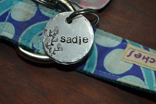 Sadie's new tag2