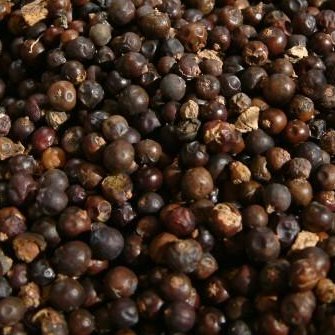 juniper_berries