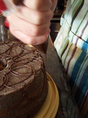 Cheese-Swirled Viennese Chocolate Cake