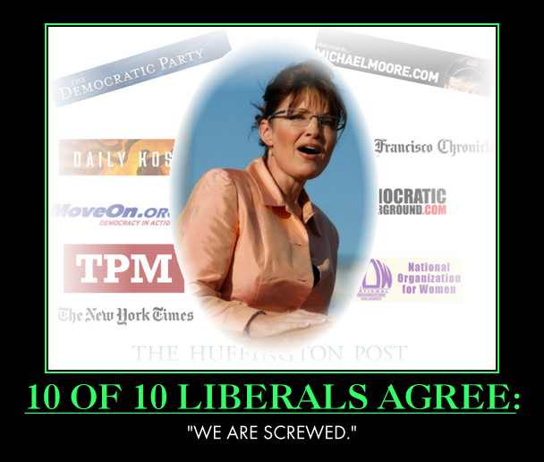 Sarah Palin : 10 of 10 liberals agree