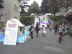 Tokyo Tech Festival - Coloured steps