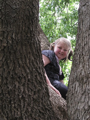 Amy in tree