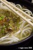 Tasty Dumpling Noodle Soup