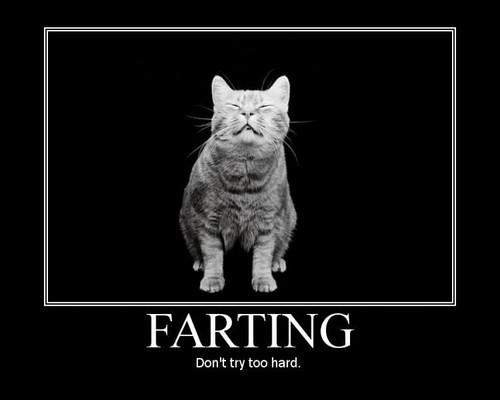 Farting-Cat