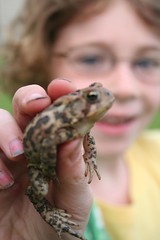 Emily and Leaper the Frog