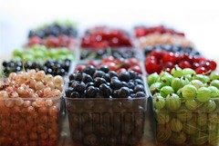 Currants and blueberries and gooseberries, oh my!