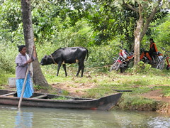 Kerala Backwater Old and New