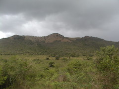 Natal Landscape